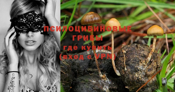 экстази Белокуриха