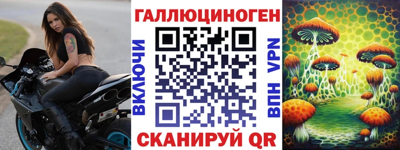 Галлюциногенные грибы Psilocybe  Купить  Биробиджан 